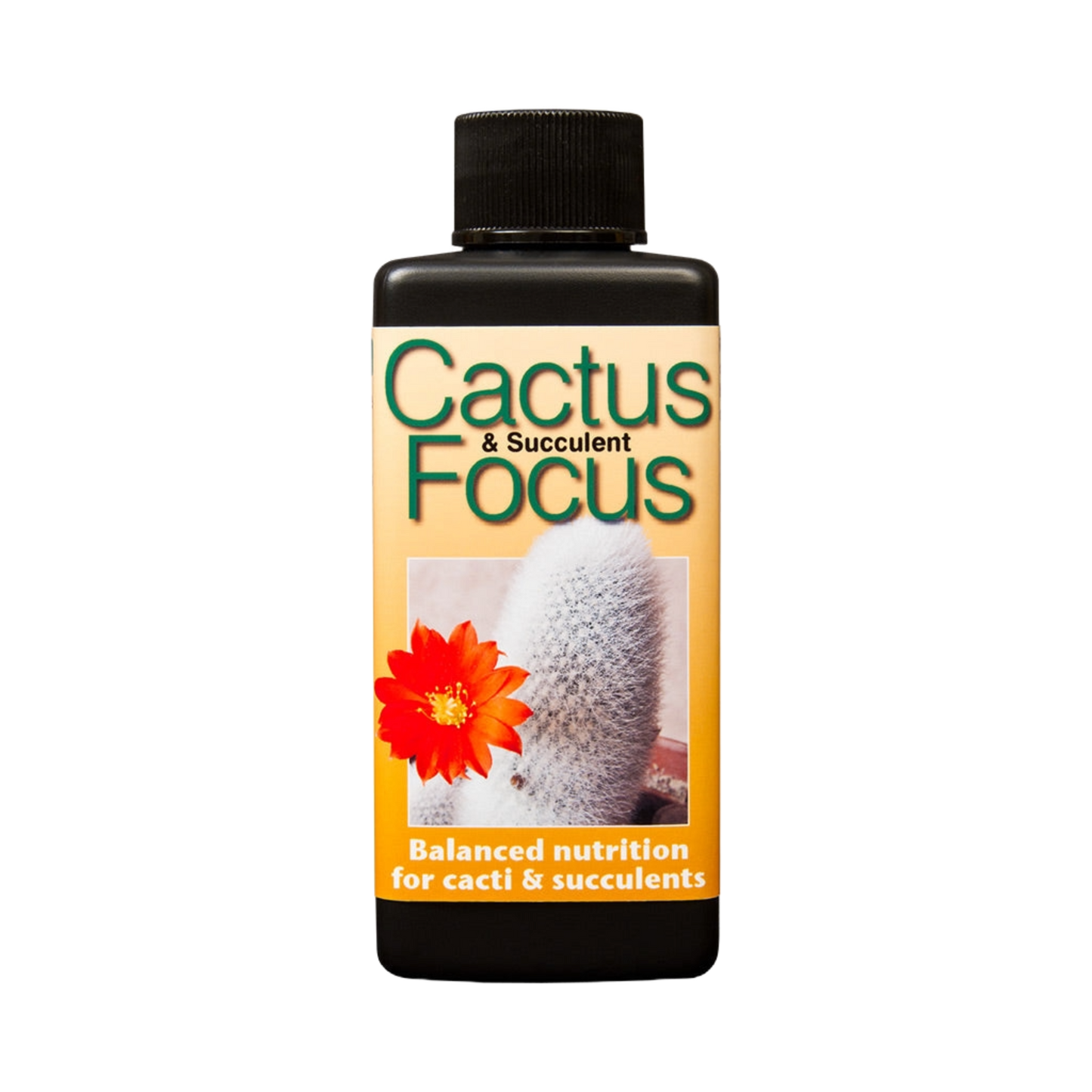 Cactus & Succulent Focus Fertiliser