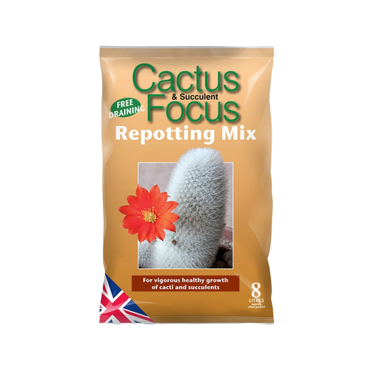 Cactus Focus Peat Free Repotting Soil Mix 8L