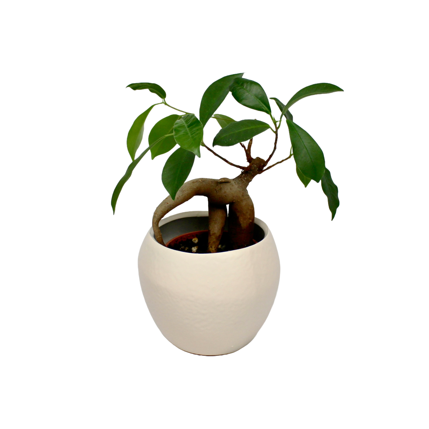 Amarah Sand Pot D7cm