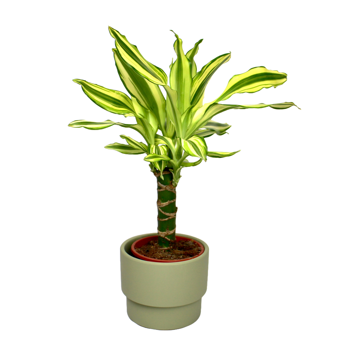 Stoi Planter D12cm