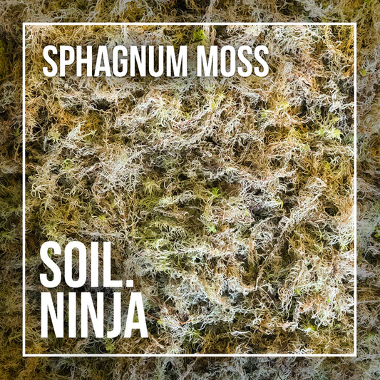 Soil Ninja - Sphagnum Moss 5L