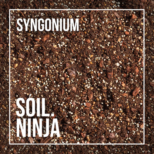 Soil Ninja - Syngonium 5L