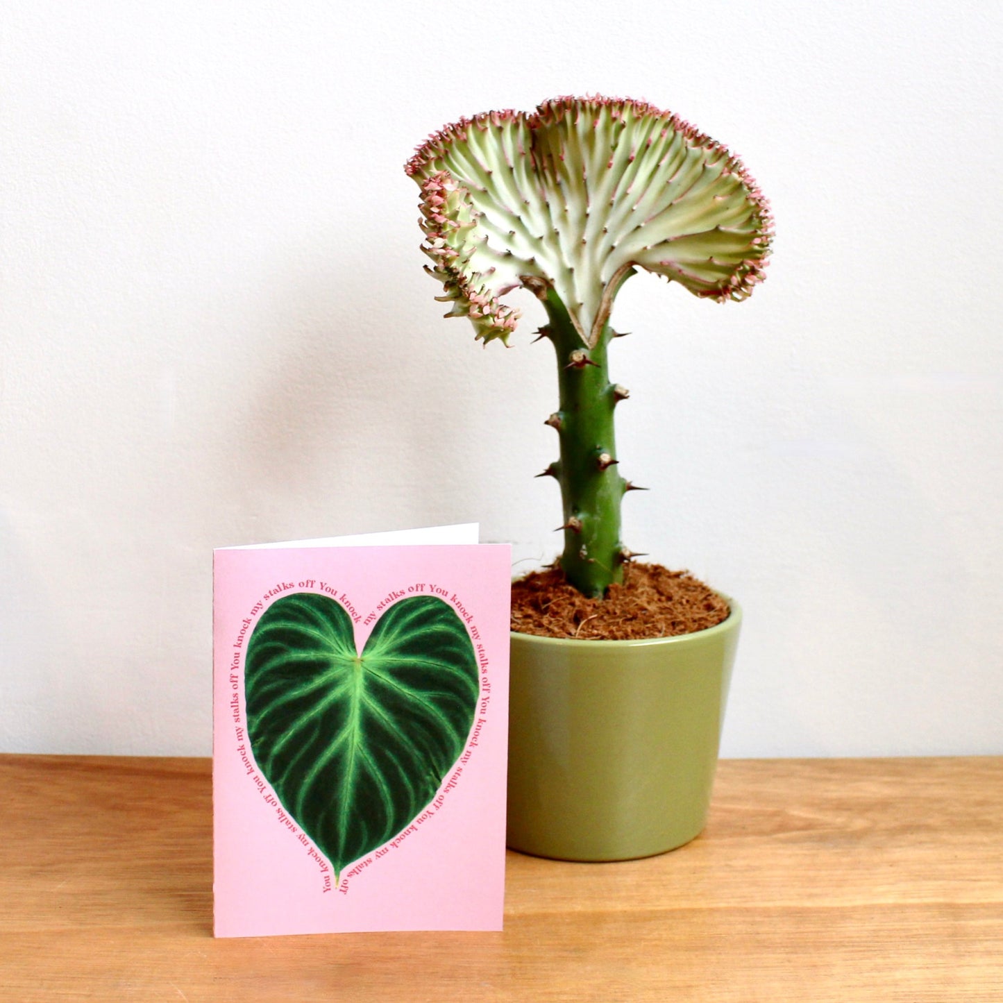 Desert Rose Gift Set