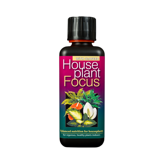 Houseplant Focus Fertiliser