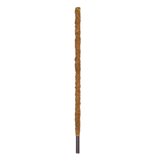 Coir Pole 70cm