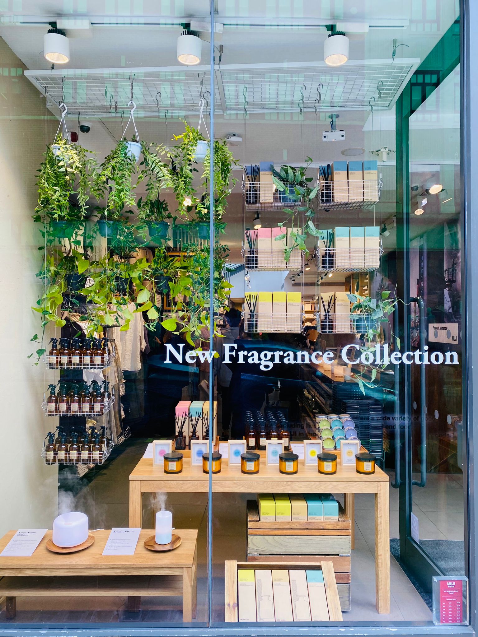 A shop front that has 'new fragrance collection' written on the glass. Inside the shop you can see trailing houseplants above a table of scented candles and scented diffusers.
