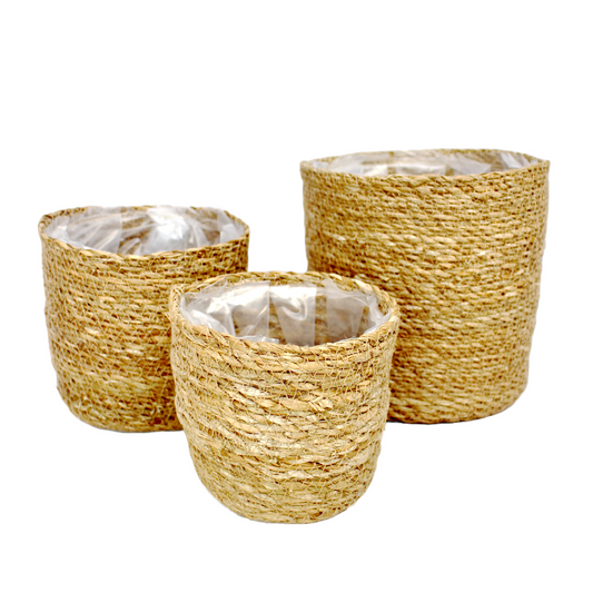 Woven Seagrass Basket Planter - 5 Sizes