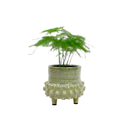 Eivissa Glazed Planter D6cm
