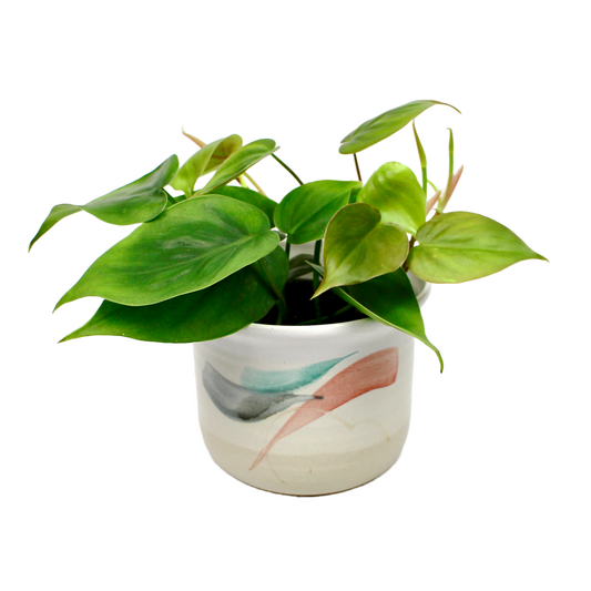 Vintage Barbara Davidson Planter D12cm